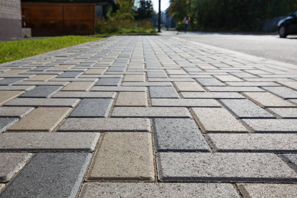 Best Professional Driveway Pavers  in Edmore, MI